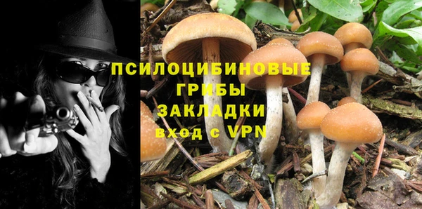 apvp Аркадак
