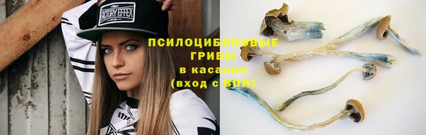 а пвп мука Арсеньев
