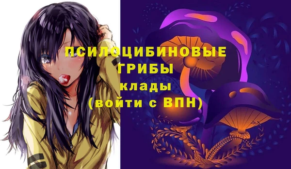 apvp Аркадак